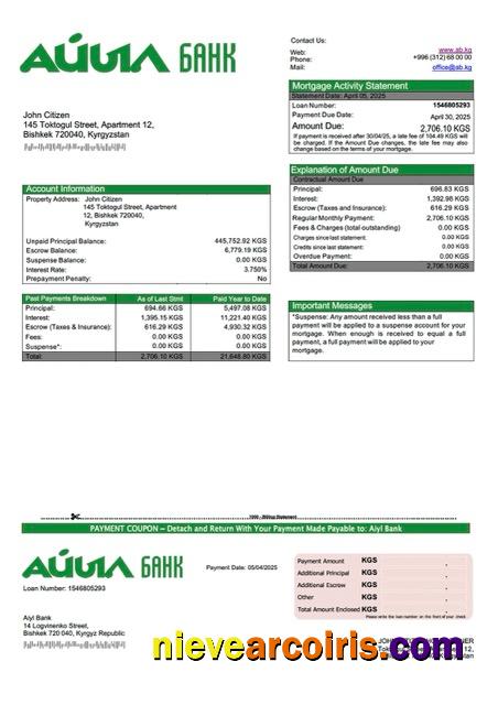 Kyrgyzstan Aiyl Bank mortgage statement Word and PDF template
